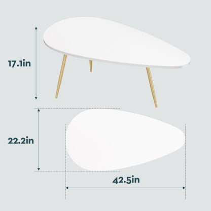 SAYGOER Modern Coffee Table White Oval Coffee Tables for Living Room Simple Center Table for Small Space Home Office Easy Assembly 22.2" D x 42.5" W x 17.1" H, White